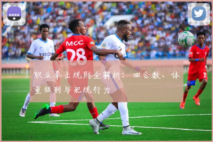 职业拳击规则全解析:回合数、体重级别与犯规行为